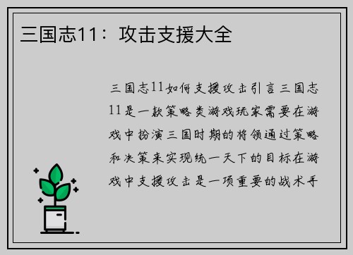 三国志11：攻击支援大全