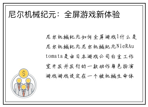 尼尔机械纪元：全屏游戏新体验